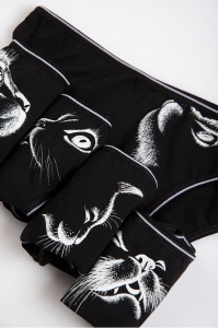 Набір трусиків Donella 159-164см 5171RM - 5шт. - 14/15р.