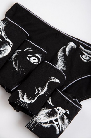 Набір трусиків Donella 147-152см 5171RM - 5шт. 10/11р.