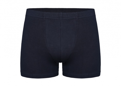 Чоловічі труси Donella 8171P, L