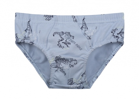 Набір трусиків Donella 110-116см 768105 - 5шт. - 4/5р.