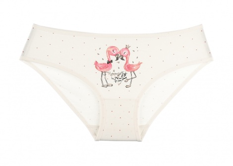 Набір трусиків Donella 86-92см 411270B - 5шт.  0/1р.